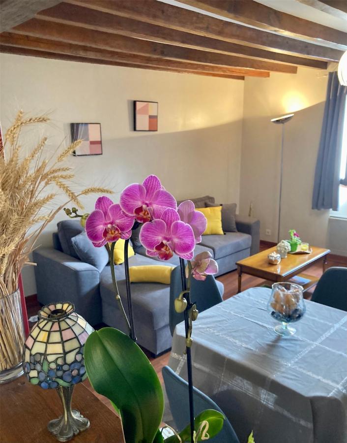 Appartement De La Breche 44 M2 Place Drouaise Au Coeur Historique Chartres Eksteriør billede